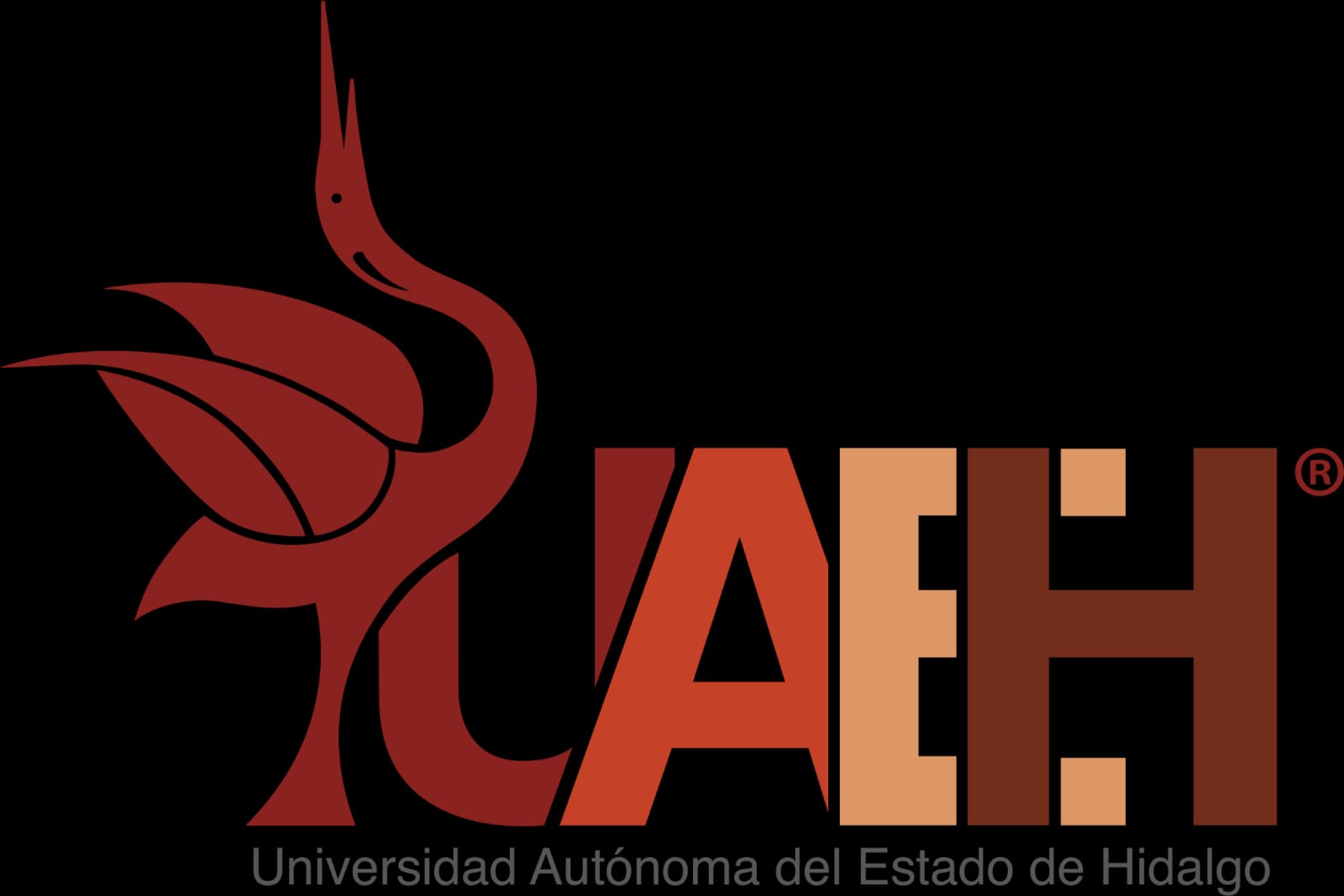 Empresas atendidas por VEJS